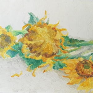 AMO Floarea Soarelui 45 x 55 cm 2017